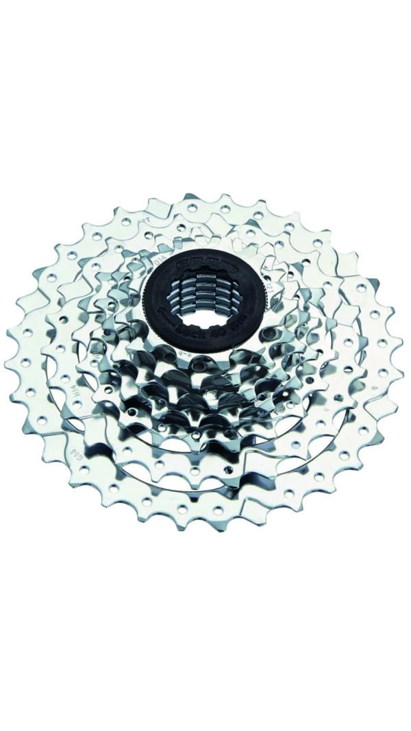 pinon-cas-7-scaled