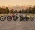 Mejores bicicletas eléctricas Argentina E-Urbana E-MTB E-Plegable — E-Bikes Argentina Mendoza