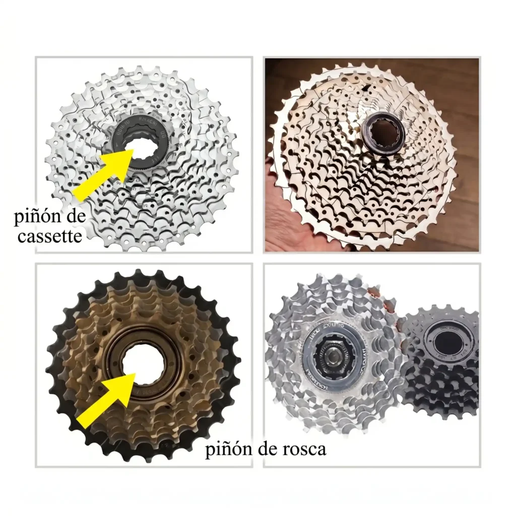 Piñón de bicicleta rosca y cassette de distintos tamaños — Repuestos E-Bikes Argentina Mendoza
