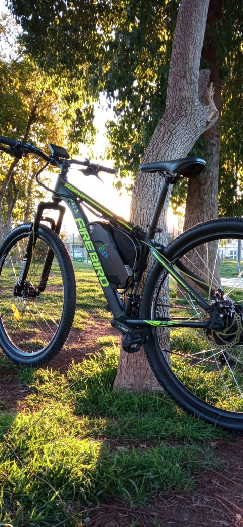 Bicicleta convertida a eléctrica con kit E-Bikes Argentina (6)